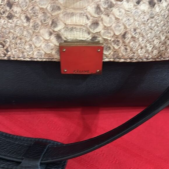 Authentic Celine Python Trapeze Bag - Picture 2 of 13